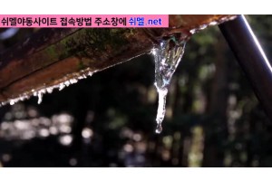 야동박사 - 야동 무료 감상 성인사이트