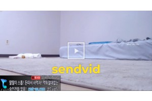 야동박사 검색