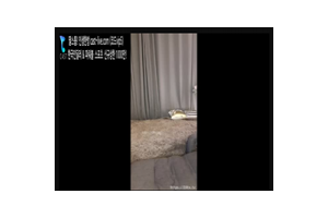 야동박사 - 야동 무료 감상 성인사이트